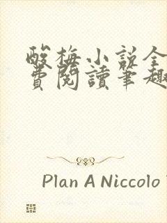 酸梅小说全文免费阅读笔趣阁