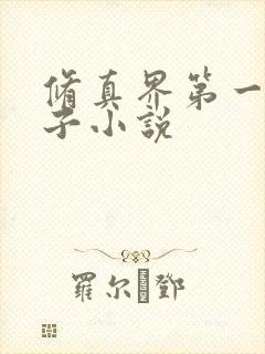 修真界第一病秧子小说