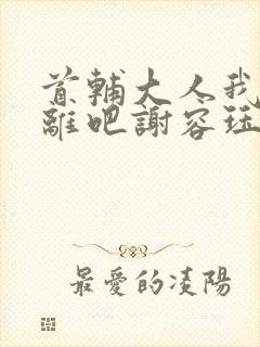 首辅大人我们和离吧谢容珏