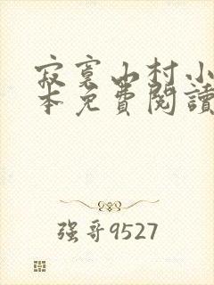 寂寞山村小说全本免费阅读封面