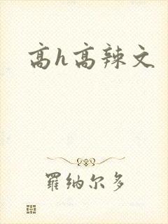 高h高辣文封面