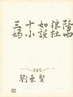 三十如狼陪读妈妈小说杜雨馨封面