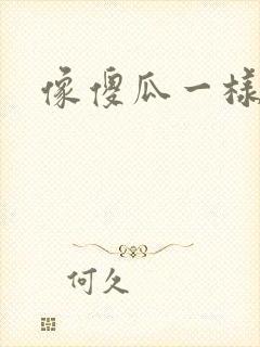 像傻瓜一样去爱封面