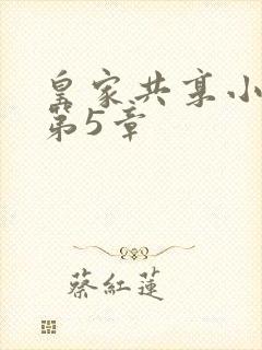 皇家共享小公主第5章封面