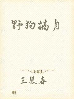 野狗摘月