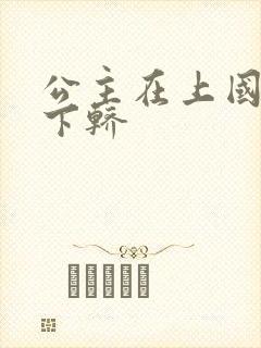 公主在上国师请下轿封面