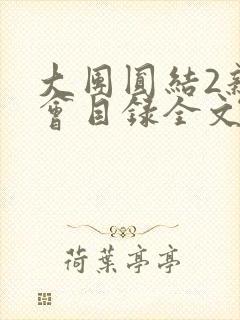 大团圆结2亲情会目录全文阅读视频封面