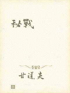 秘战封面