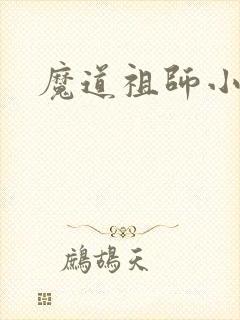 魔道祖师小说