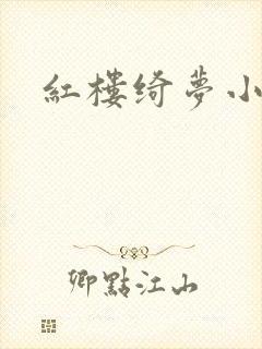 红楼绮梦小说封面