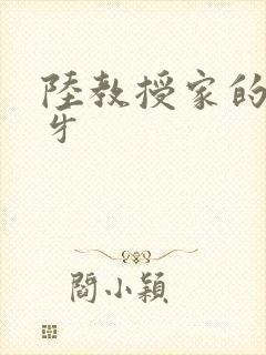 陆教授家的小月牙