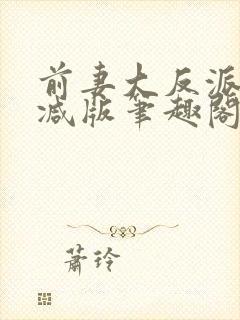 前妻大反派无删减版笔趣阁封面