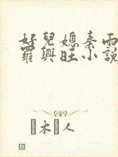 好儿媳秦雨罗明罗兴旺小说