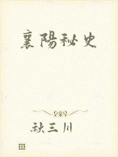 襄阳秘史