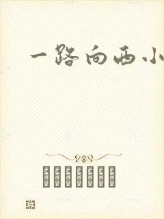 一路向西小说