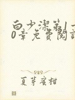 白少洁第1一40章免费阅读封面