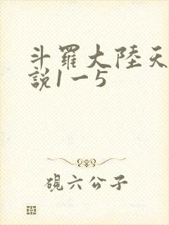 斗罗大陆天狂传说1一5封面