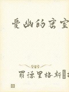爱幽的密室小说封面
