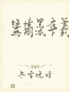 绝境黑夜笔趣阁无删减下载