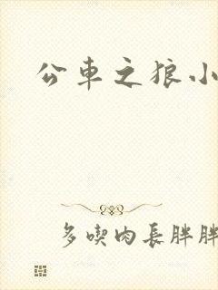 公车之狼小说