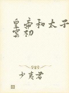 皇帝和太子妃h云初封面