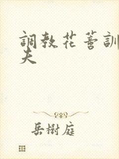 调教花蒂训诫从夫封面