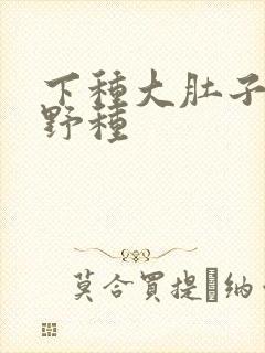 下种大肚子怀孕野种