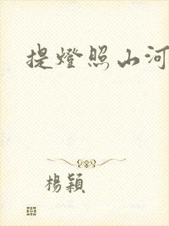 提灯照山河封面