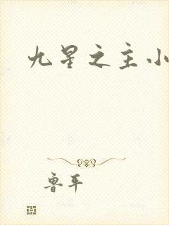 九星之主小说