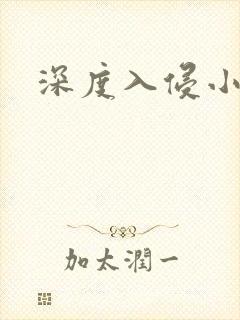 深度入侵小说