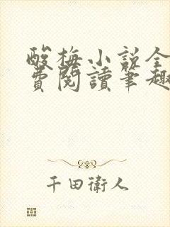 酸梅小说全文免费阅读笔趣阁