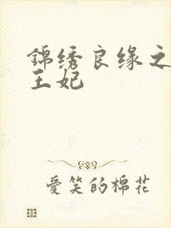 锦绣良缘之北地王妃封面