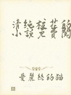 清纯校花的秘密小说免费阅读