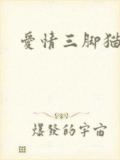 爱情三脚猫