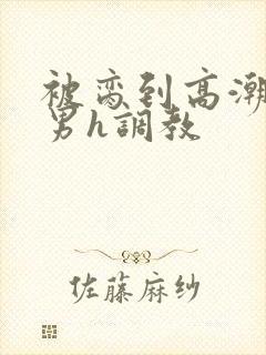 被脔到高潮的直男h调教