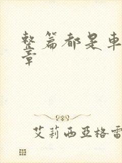 整篇都是车的文章