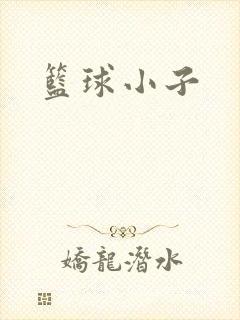篮球小子