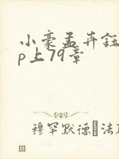 小豪孟卉钰慧三p上79章