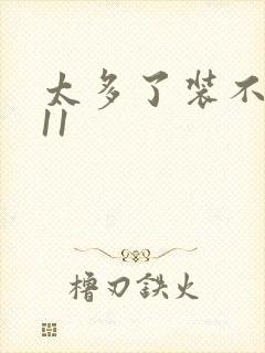 太多了装不下H11