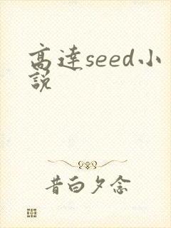 高达seed小说