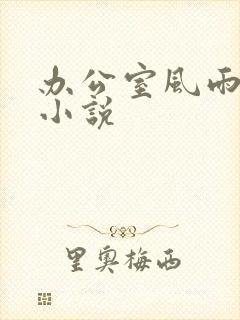 办公室风雨完整小说