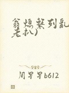 翁熄系列乱 (老扒)封面