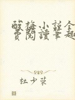 酸梅小说全文免费阅读笔趣阁