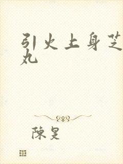 引火上身芝麻糖丸