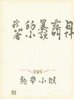 我的暴露日记原著小说叫什么封面