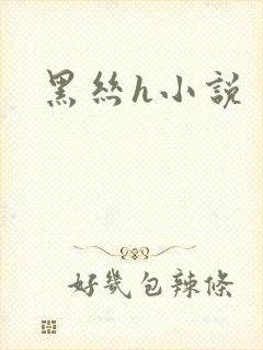 黑丝h小说