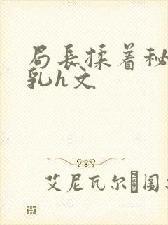 局长揉着秘书的乳h文封面