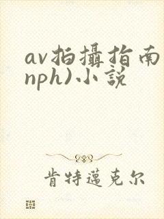 av拍摄指南(nph)小说封面
