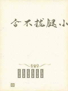 合不拢腿小说