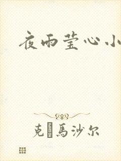 夜雨莹心小说封面